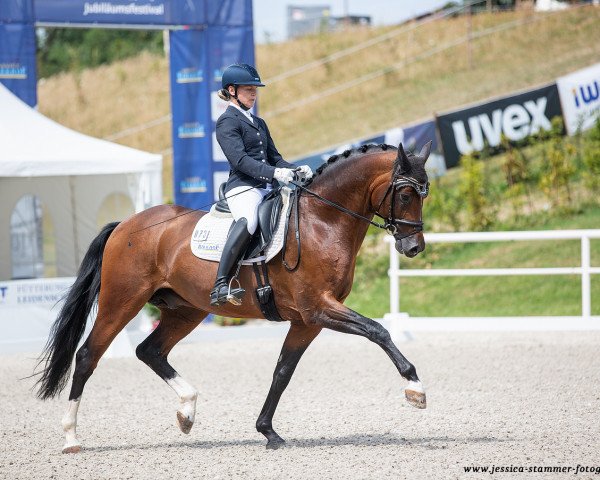 stallion Birkhof's Thapelo FBW (German Sport Horse, 2016, from Birkhof's Topas Fbw)