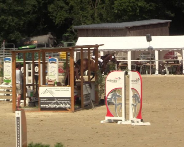 Reitturnier Clarholz 2022