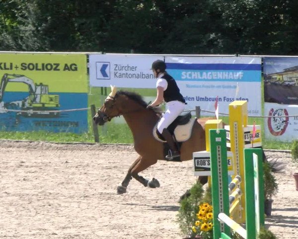 Reitturnier Gossau 2022