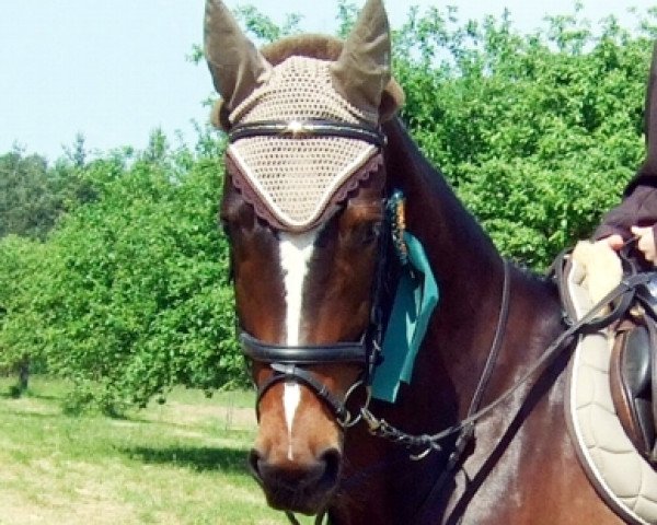 dressage horse Lougano Summer Rain (Westphalian, 2007, from Let de Lember)
