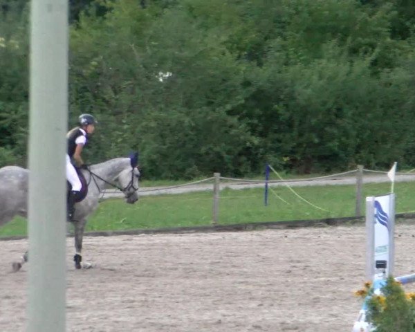 Reitturnier Gossau 2022