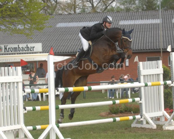 Springpferd Calderon 35 (Holsteiner, 2004, von Calato)
