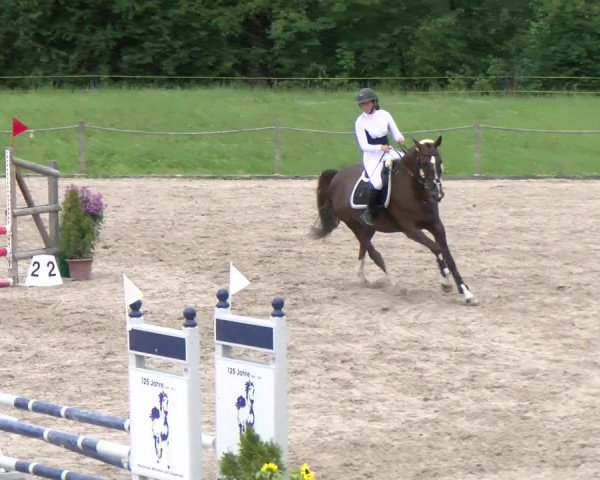 Reitturnier Gossau 2022