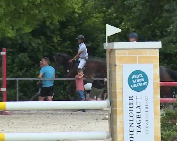 Reitturnier Rot am See- Musdorf 2022