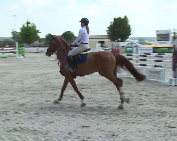 Reitturnier Rot am See- Musdorf 2022