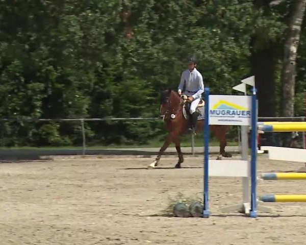Reitturnier Rot am See- Musdorf 2022