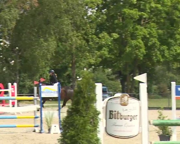 Reitturnier Rot am See- Musdorf 2022