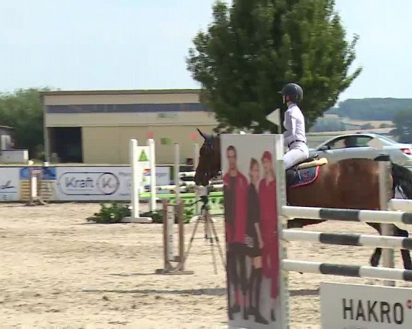 Reitturnier Rot am See- Musdorf 2022