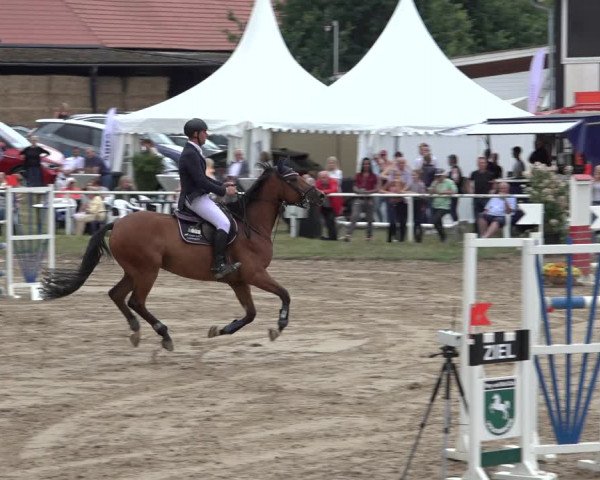 Reitturnier Volkmarode 2022
