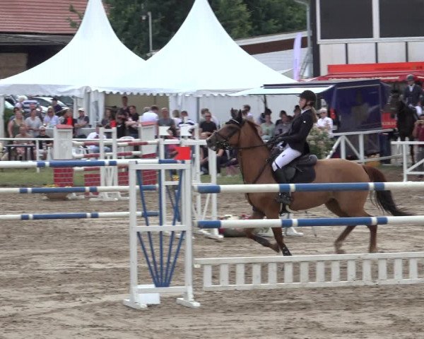 Reitturnier Volkmarode 2022