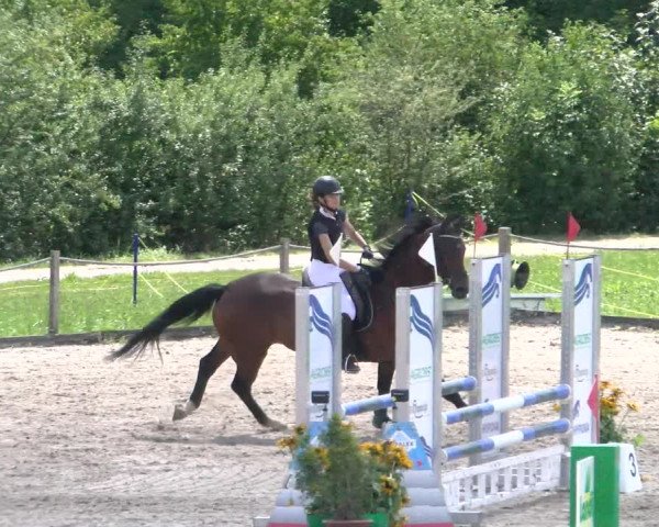 Reitturnier Gossau 2022