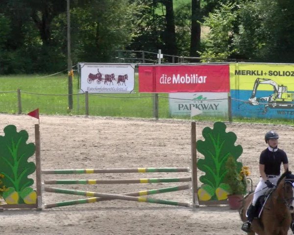 Reitturnier Gossau 2022