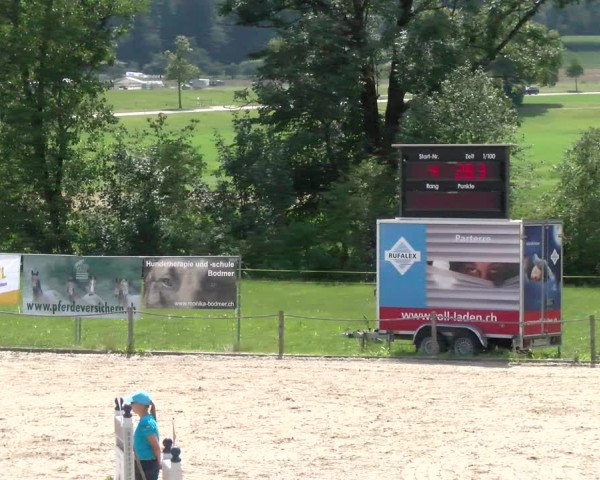 Reitturnier Gossau 2022