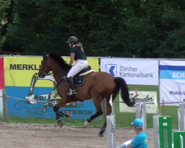 Reitturnier Gossau 2022