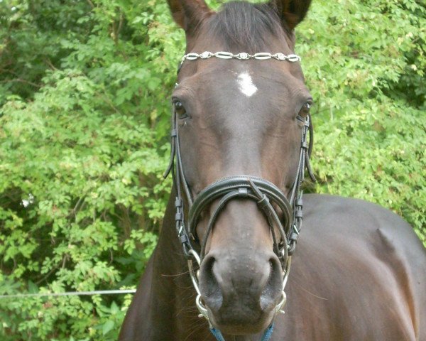 broodmare April Sun xx (Thoroughbred, 1992, from Imperial Fling xx)