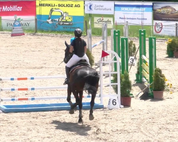 Reitturnier Gossau 2022