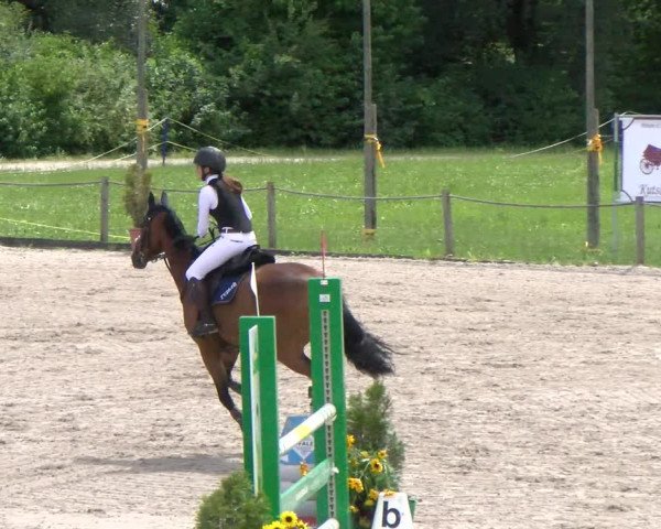 Reitturnier Gossau 2022