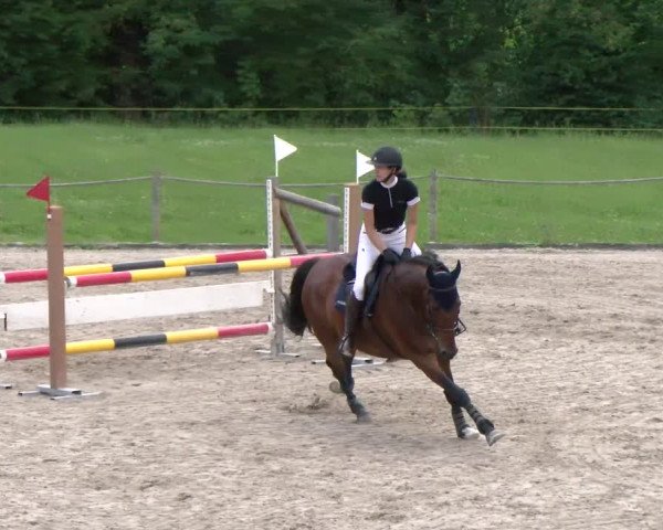 Reitturnier Gossau 2022