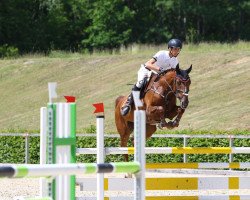 broodmare Kunigunde (Oldenburg show jumper, 2016, from Kannan)