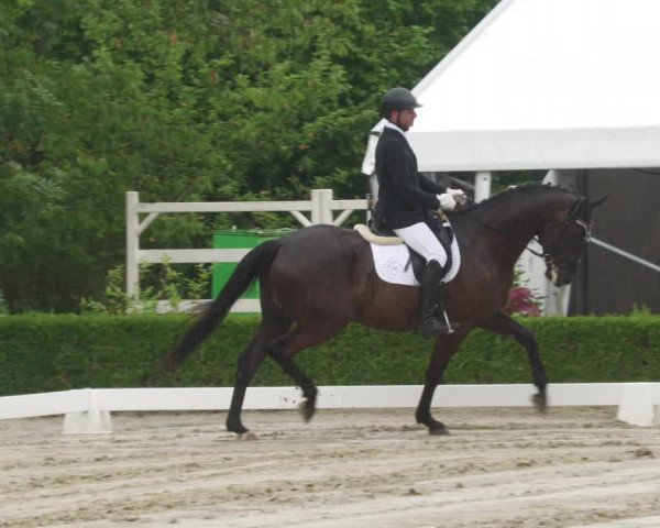 Reitturnier Neu-Anspach 2022