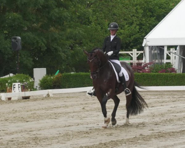 Reitturnier Neu-Anspach 2022