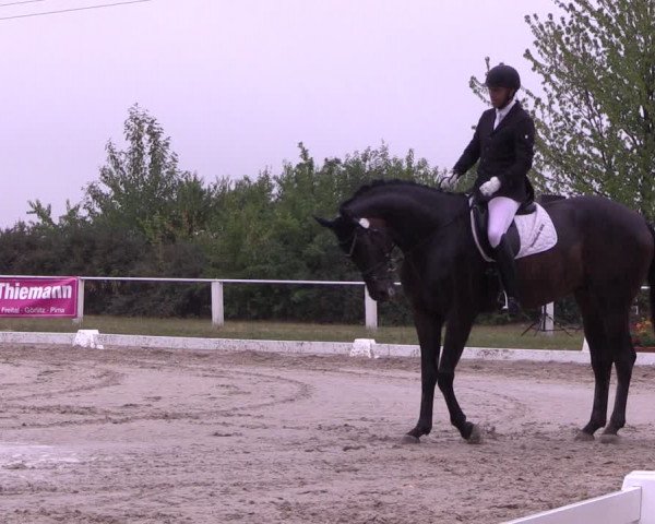 Reitturnier Baschütz bei Bautzen 2022