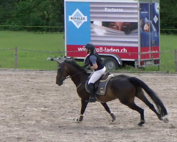 Reitturnier Gossau 2022