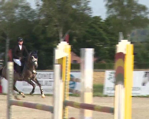 Reitturnier Rot am See- Musdorf 2022