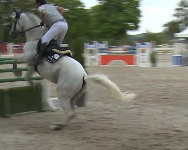 Reitturnier Rot am See- Musdorf 2022