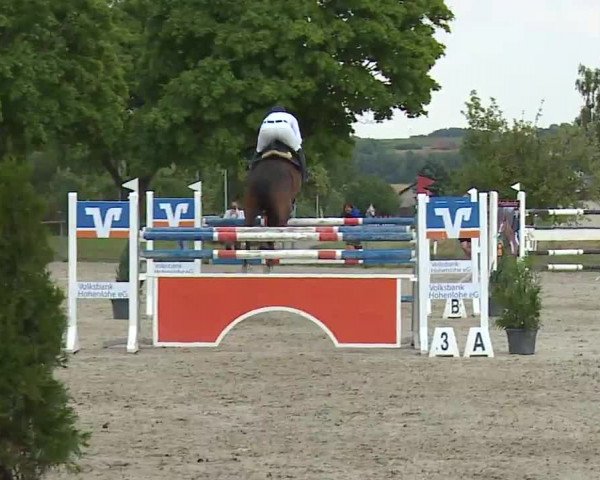 Reitturnier Rot am See- Musdorf 2022