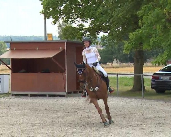 Reitturnier Rot am See- Musdorf 2022