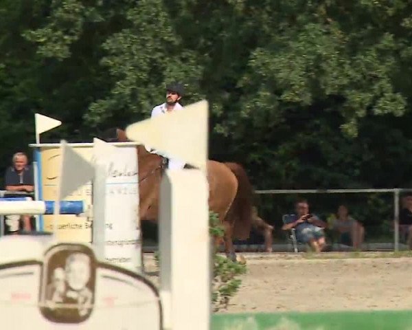 Reitturnier Rot am See- Musdorf 2022
