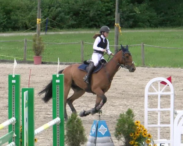 Reitturnier Gossau 2022