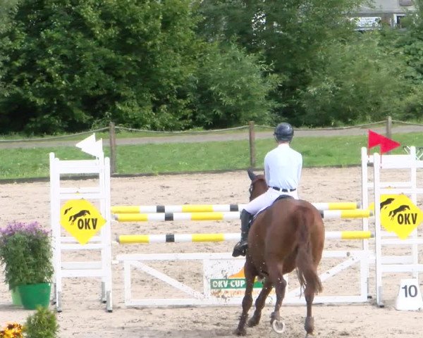 Reitturnier Gossau 2022