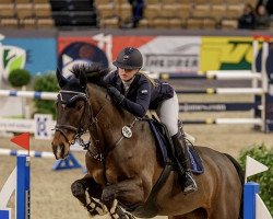 jumper Chakira B (Holsteiner, 2004, from Caretino)