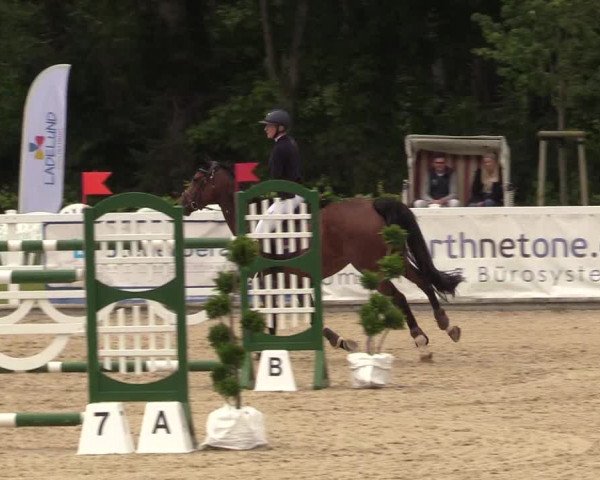 Reitturnier Ladelunder Springtage 2022