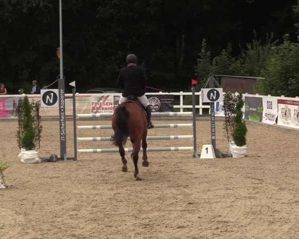 Reitturnier Ladelunder Springtage 2022