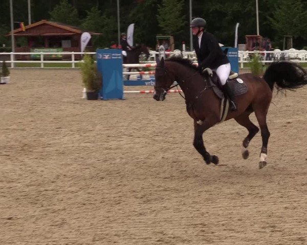 Reitturnier Ladelunder Springtage 2022