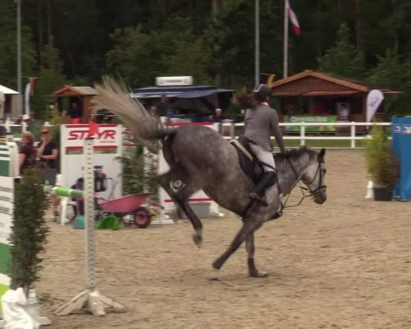 Reitturnier Ladelunder Springtage 2022