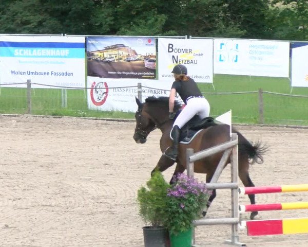 Reitturnier Gossau 2022