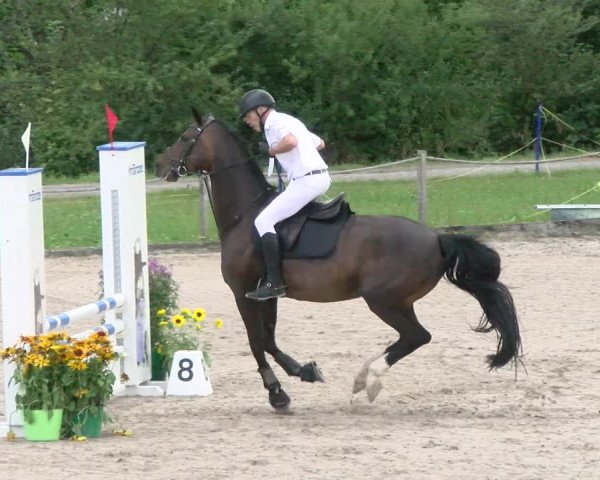 Reitturnier Gossau 2022