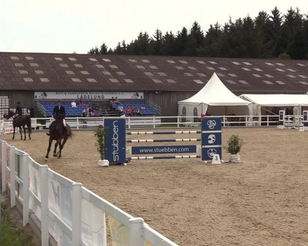 Reitturnier Ladelunder Springtage 2022