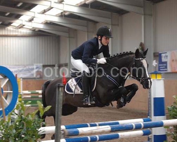 jumper Salome Kelly (German Riding Pony, 2004, from Kennedy WE)