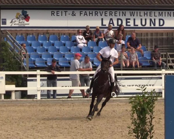 Reitturnier Ladelunder Springtage 2022