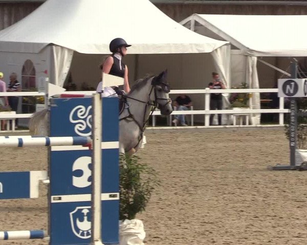 Reitturnier Ladelunder Springtage 2022