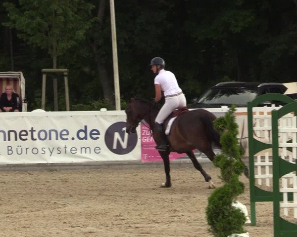 Reitturnier Ladelunder Springtage 2022
