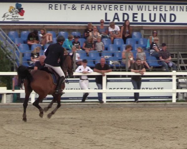 Reitturnier Ladelunder Springtage 2022
