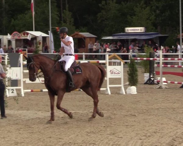 Reitturnier Ladelunder Springtage 2022