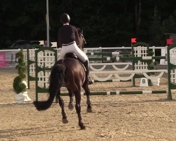 Reitturnier Ladelunder Springtage 2022