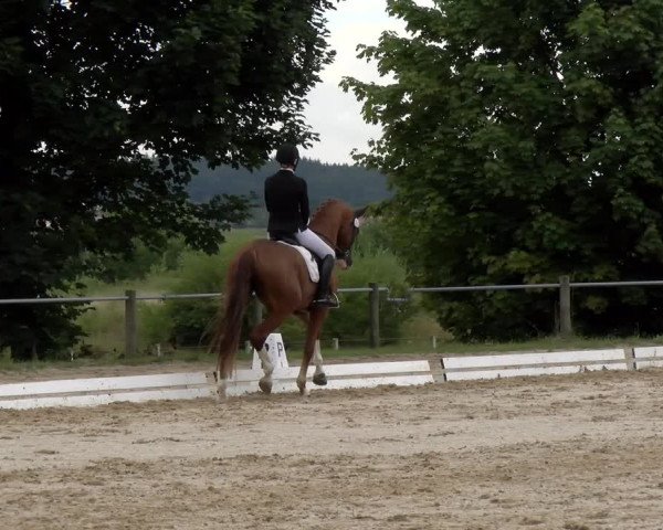 Reitturnier Biberach/Riß 2022